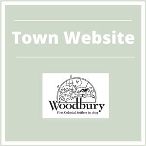 Town Website